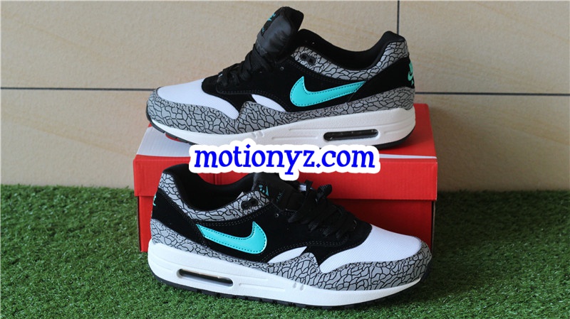 Nike Air Max 1 Atmos Elephant 2017